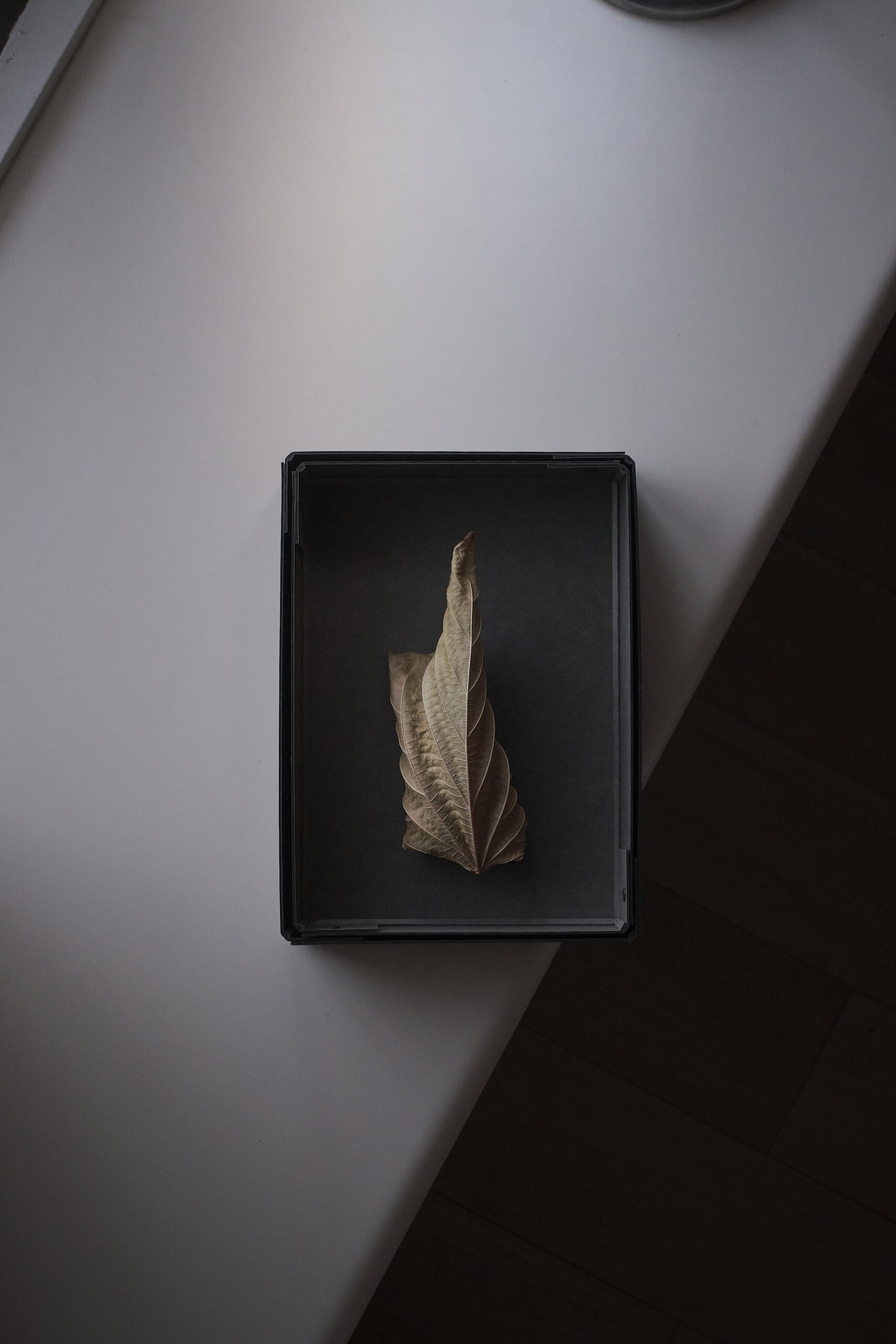 FROME Carry box "Rivet Box Small" and Leaf