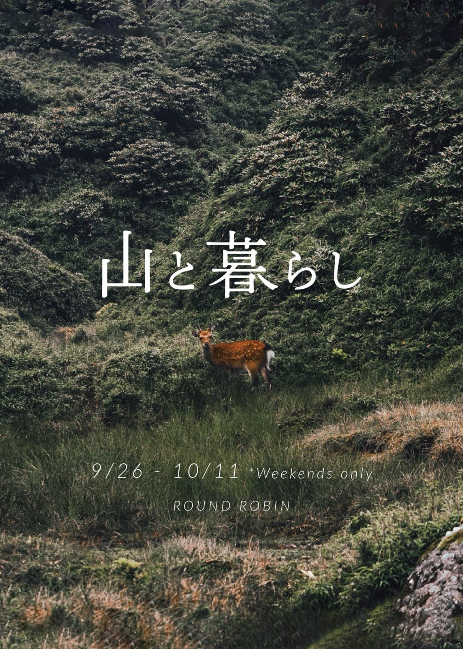 山と猫 × ROUND ROBIN「山と暮らし」