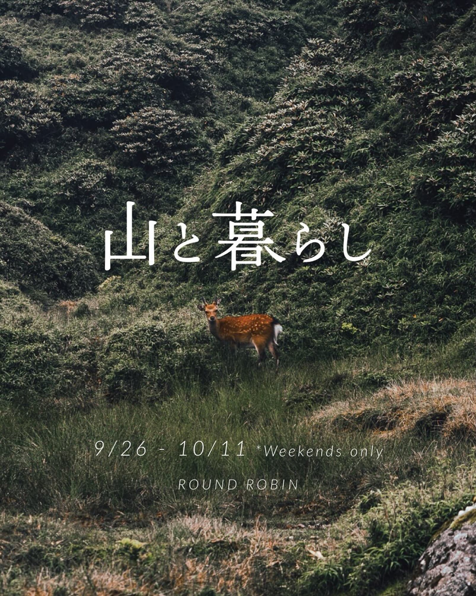山と猫 × ROUND ROBIN「山と暮らし」